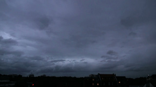 for the land of neon